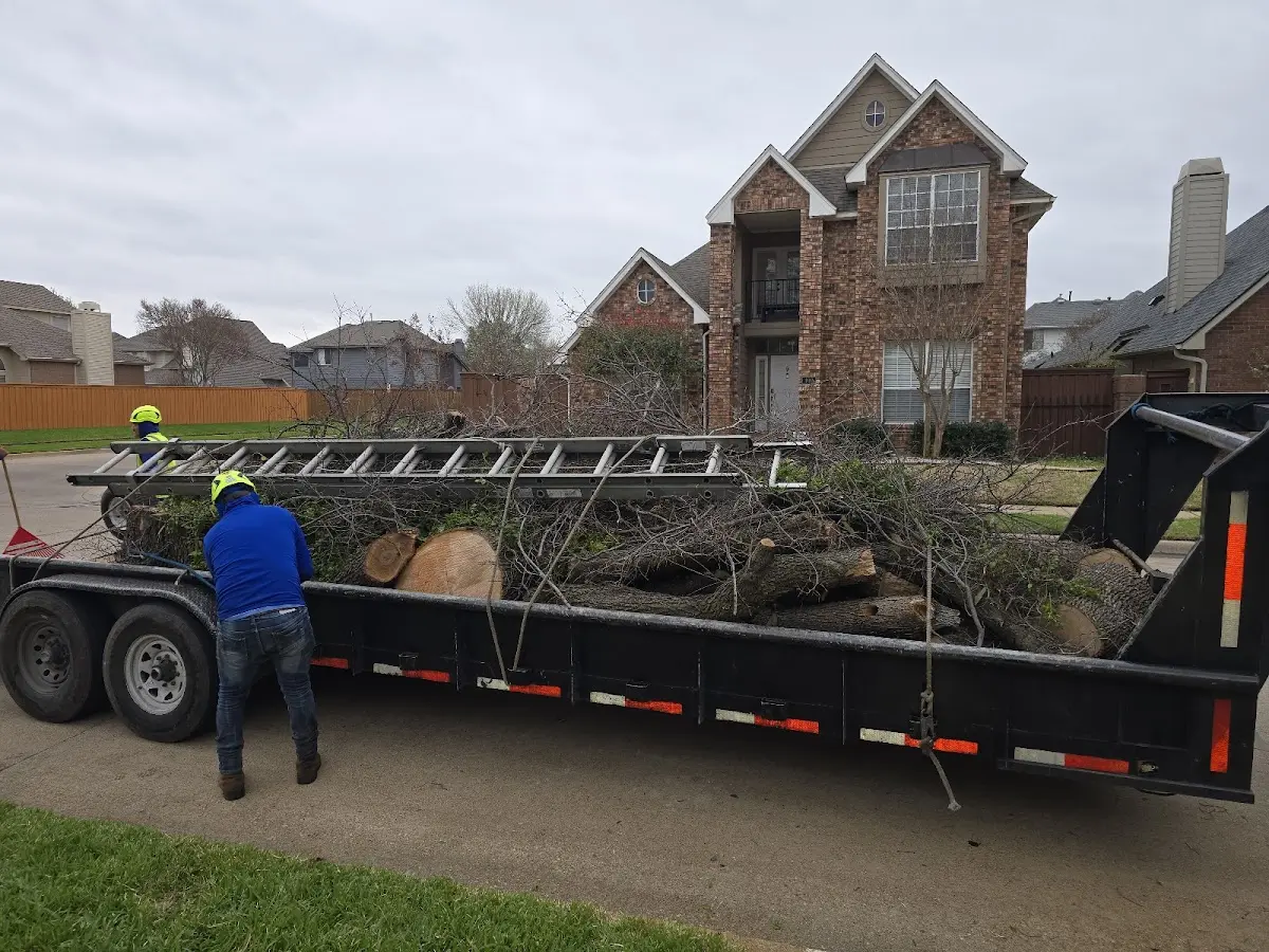 Expert Tree Fertilization with proper safety equipment in Vestaburg